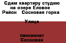 Сдам квартиру-студию на озере Еловое › Район ­ Сосновая горка › Улица ­ пансионат Сосновая горка › Дом ­ 5 › Цена ­ 2 200 - Челябинская обл., Чебаркуль г. Недвижимость » Квартиры аренда посуточно   